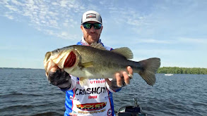 MLF Bass Pro Tour: Stage Five: 2024 Jacob Wheeler thumbnail