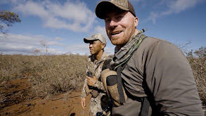 Family Hunting Hawaiian Axis Deer thumbnail