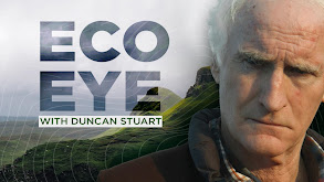 Eco Eye thumbnail