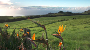 Hawaii's Big Island: Eyeballs and Abalone thumbnail