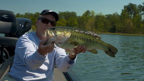 How to Catch Pre and Post-Spawn Bass on Swimbaits and Glide Baits in the Spring thumbnail