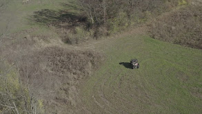 Mark Kenyon Kills the Drop Tine Buck thumbnail