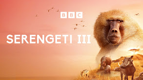 Serengeti thumbnail