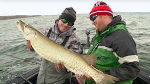 Fall Central Minnesota Muskies thumbnail