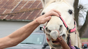 Cold Your Horses thumbnail