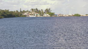 Everglades Snook and Reds thumbnail