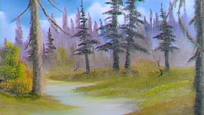 Quiet Woods thumbnail