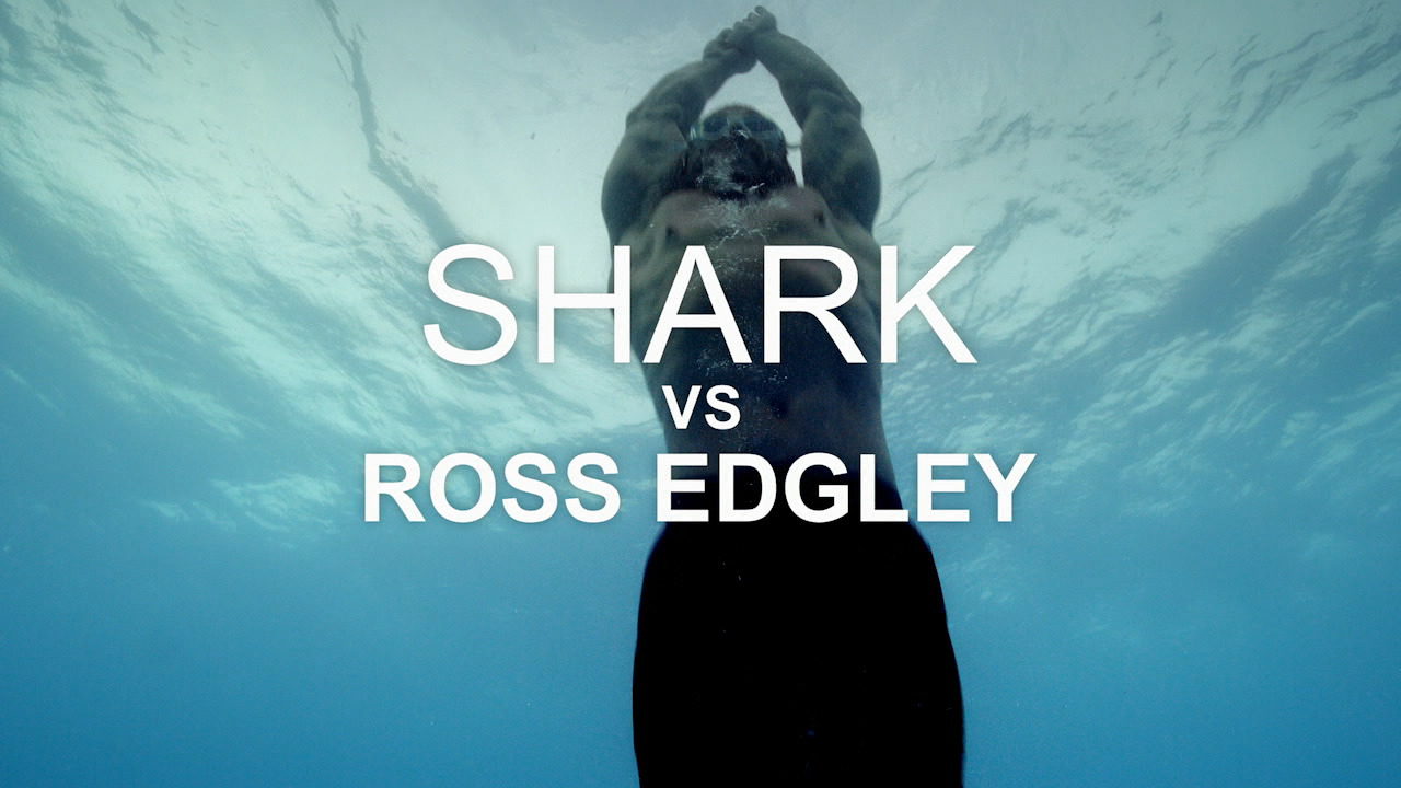 Shark vs. Ross Edgley