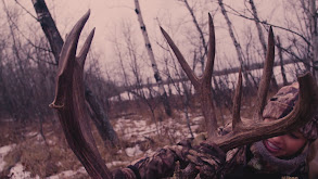 Alberta Giant Mulies thumbnail