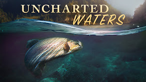 The Big Fish Bonanza -- Uncharted Waters thumbnail