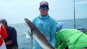 Florida Bay & Gulf of Mexico For Permit, Cobia, Goliath Grouper thumbnail