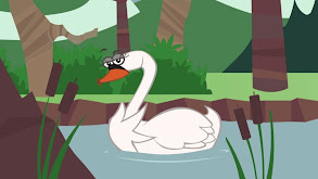 Swan thumbnail