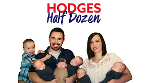 Hodges Half Dozen thumbnail