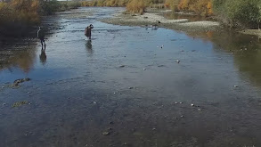 Rocky Mountain Waterfowl thumbnail