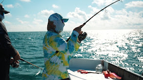 Gulf of Mexico Mixed Bag Permit, Cobia, Grouper thumbnail