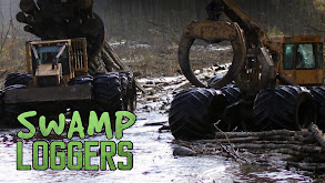 Swamp Loggers thumbnail