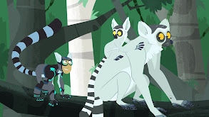 Lemur Stink Fight thumbnail