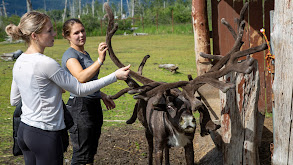 The Very Hungry Reindeer thumbnail