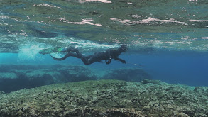 Spearfishing the Big Island thumbnail