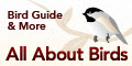 All About Birds: Free Bird Guide and More