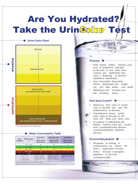  dehydration urine color chart edit fill sign online handypdf