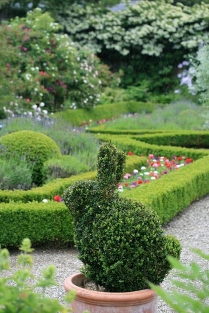 Topiary Design in Fun Animal Shapes