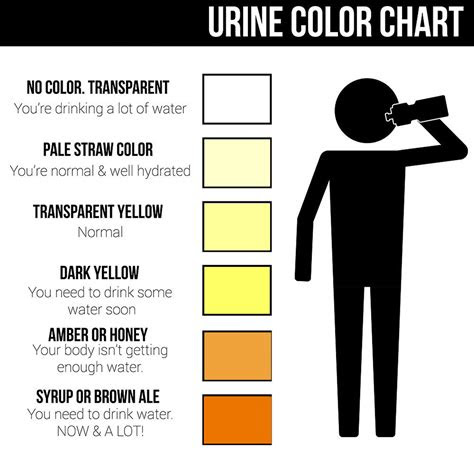  urine color chart what color is normal what does it mean