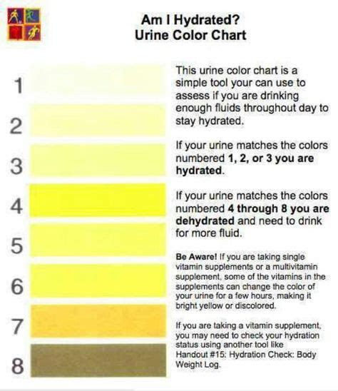  urine color chart urinal raw for beauty