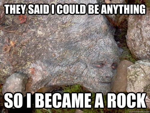 They Said I Could Be Anything So I Became A Rock Camouflage Peeta Quickmeme