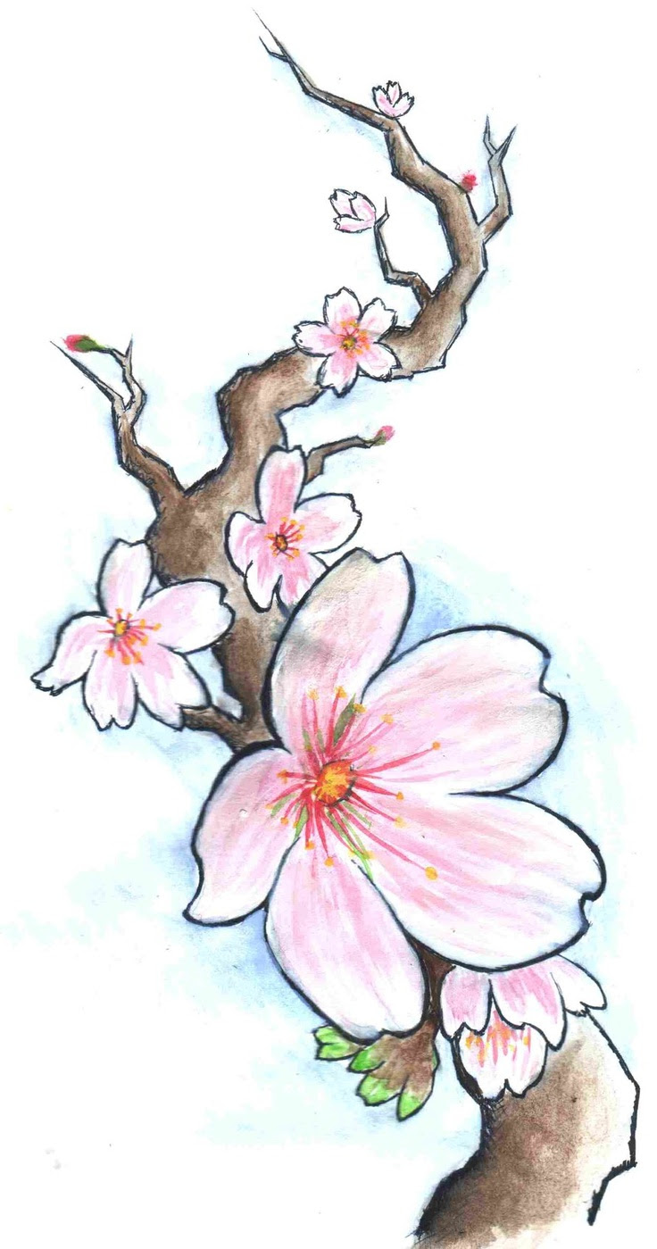 Seriously 36 Truths On Cherry Blossom Drawing They Did not Let You in 