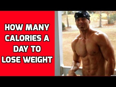 how much calories to lose weight in a day