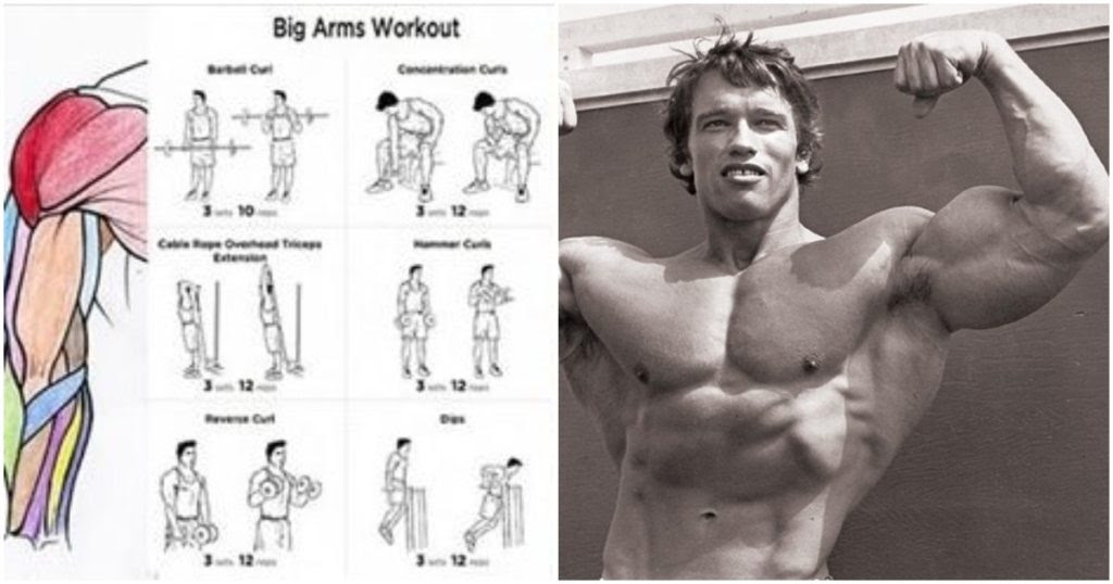 The 18 Best Dumbbell Exercises For Biceps | Fitness ...