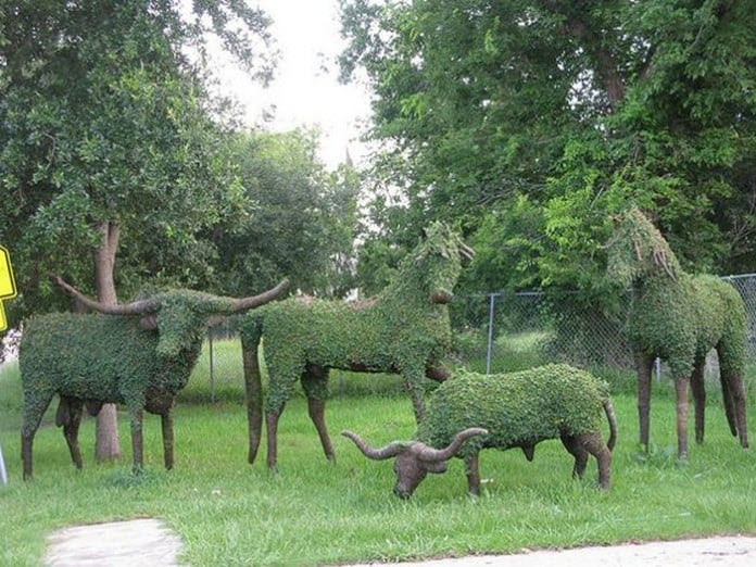 Topiary Design in Fun Animal Shapes