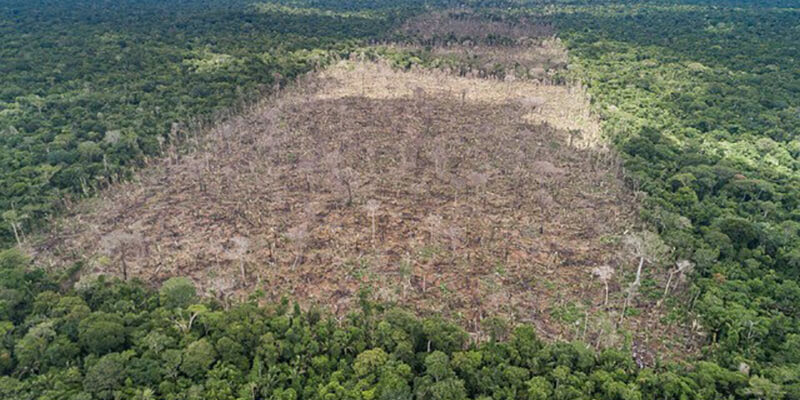 Deforestation Drove Massive Amazon Rainforest Fires Of 19 Purdue University News