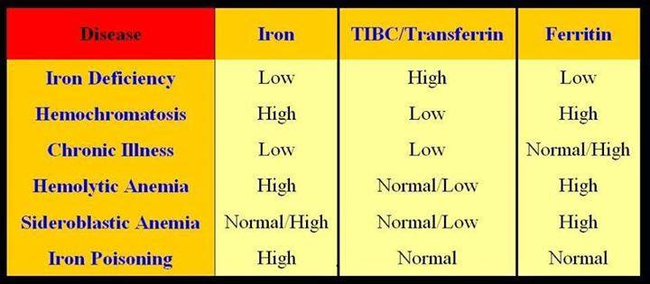 Serum Iron Tibc Transferrin And Ferritin Levels In Anemia Medical Laboratories