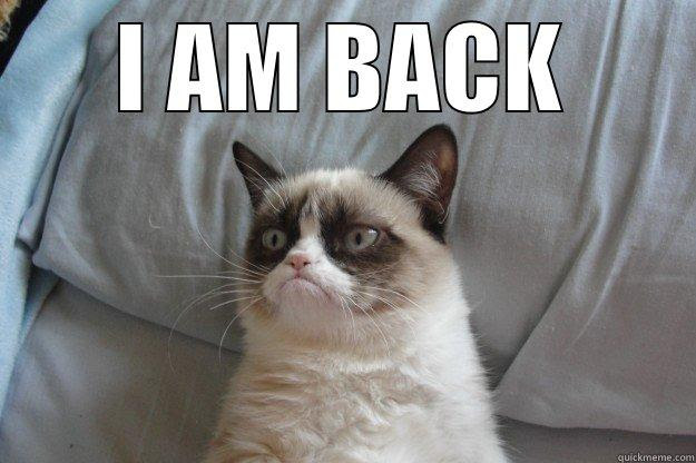 pics I Am Back Funny Images grumpy cat memes quickmeme