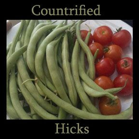 CountrifiedHicks