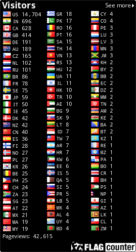 Flag Counter