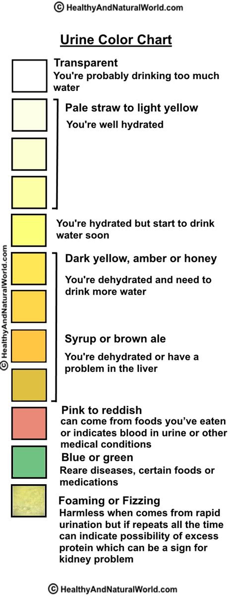  what can your urine tell you about your health