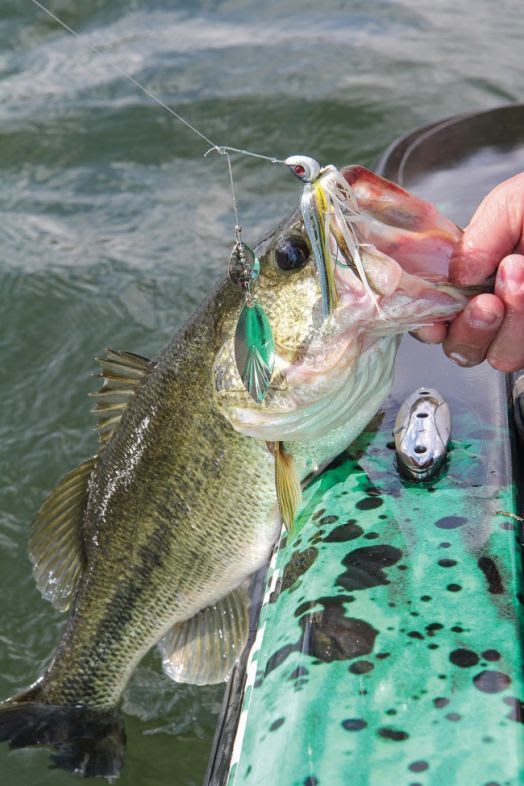 Find the Best Bass Fishing Near You