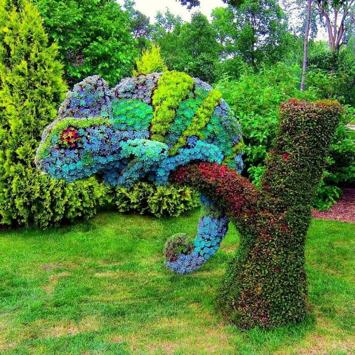 Topiary Design in Fun Animal Shapes