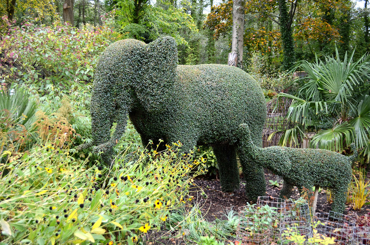 Topiary Animals - Agrumi New Forest Bespoke Topiary