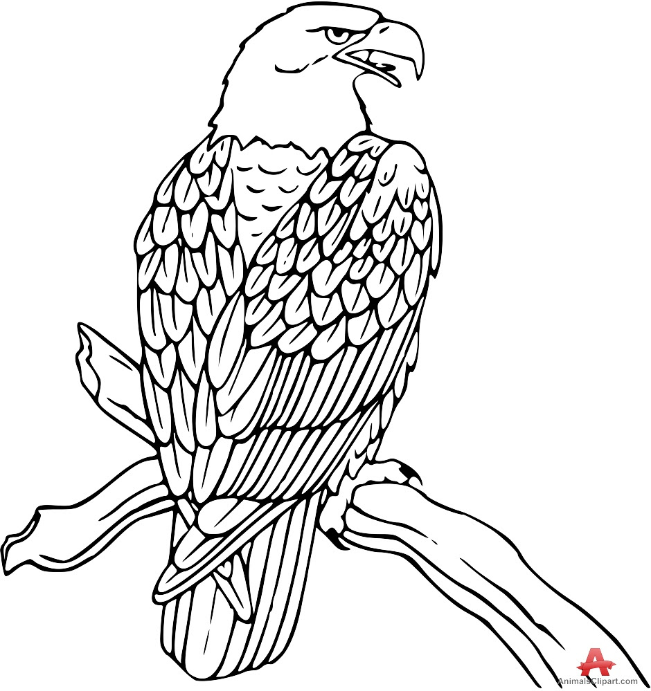 Free Falcon Outline Cliparts Download Free Clip Art Free