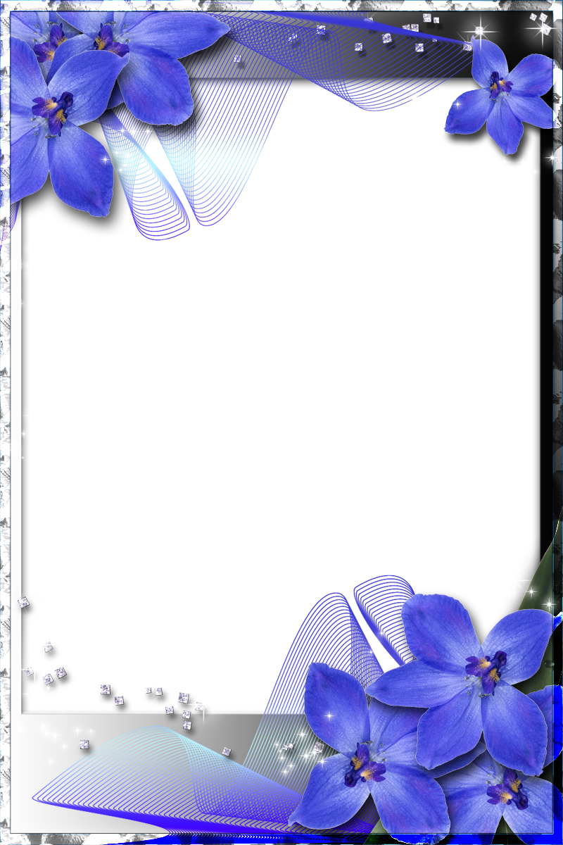 Beautiful Transparent Frame with Blue Orchids | Gallery ... Polish your personal project or design with these blue border transparent png images, make it even more personalized and more attractive.