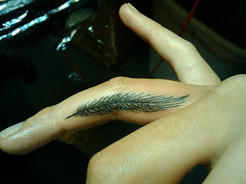 feather