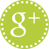 Follow Olive Dragonfly on Google Plus