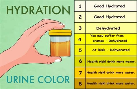  a hand holding a container with urine in it next to a table that says