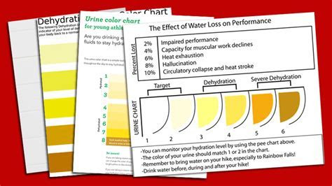  urine color chart for hydration recipes