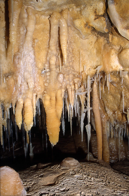 brooksville ridge crystal cave, hernando county, florida 5 ...