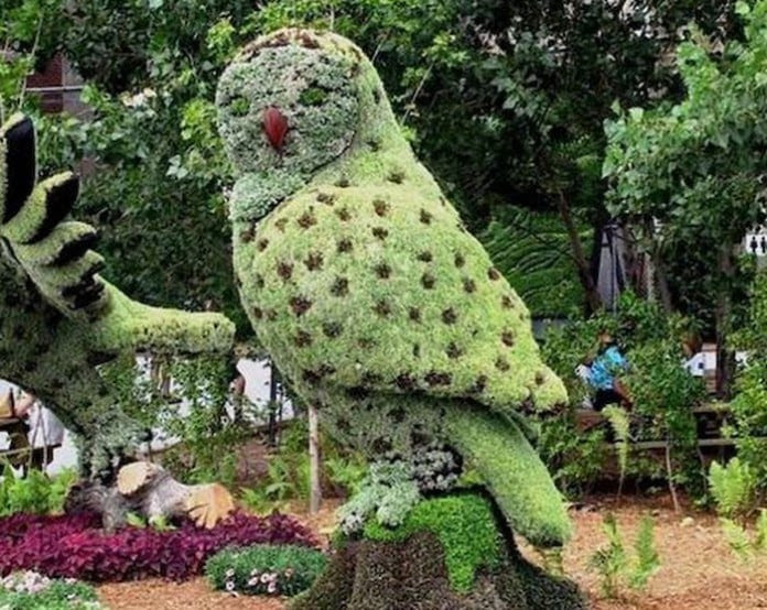 Topiary Design in Fun Animal Shapes